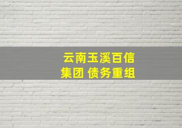 云南玉溪百信集团 债务重组